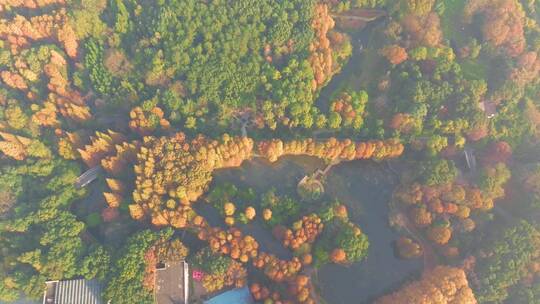 湖北武汉东湖风景区秋季风光