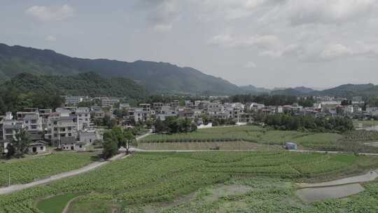 田园风光   航拍 农村