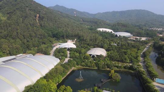 百岁山 景田实业集团 景田百岁山视频素材模板下载