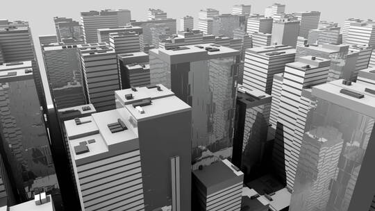 黑白城市的抽象模型