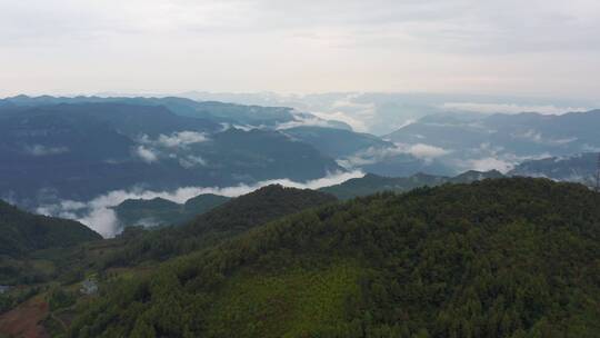 4k航拍高山峡谷云海