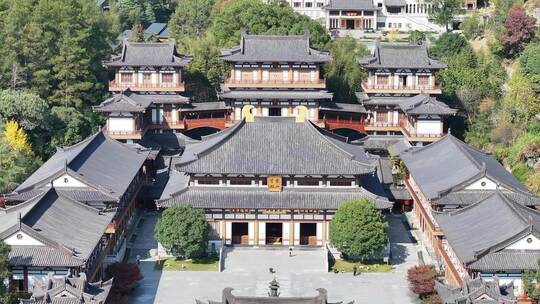 安福寺庙和银杏树航拍特写视频素材模板下载