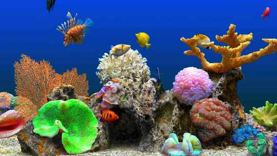 海底鱼水族馆鱼缸