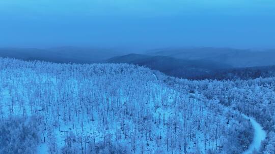 航拍黎明林海雪原雾凇