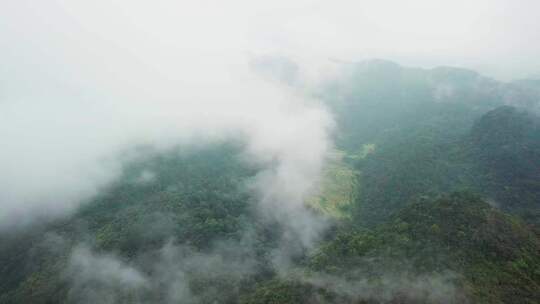 森林云雾山脉风景航拍