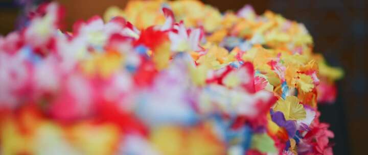 舞台特写上五颜六色的花外花