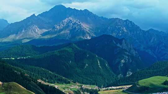 新疆鹿角湾的高山森林