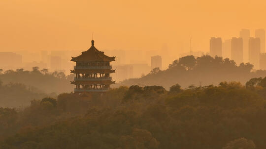 广州 广州夕阳  夕阳美 城市