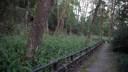 杭州玉皇山景区吴越郊坛遗址