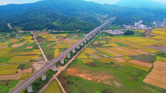 田野间的高铁线路航拍风光