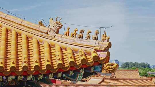 故宫宫殿屋脊兽0283