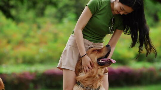 长发美女抱着宠物金毛犬在公园玩耍狗爱主人