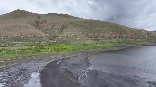 普莫雍措湖岸湿地风光