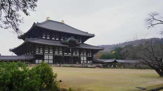 日本奈良的大型传统东大寺，游客