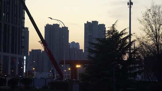 草地 户外 公园 夜景 背光 自然 树