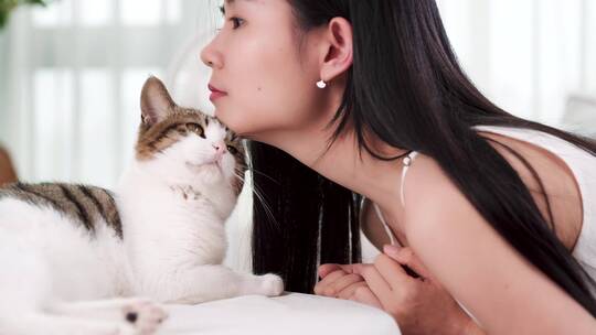 女孩逗猫，家居萌宠，可爱宠物猫咪4k视频视频素材模板下载