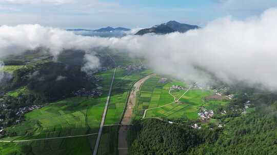 云雾下的绿色田野江河道路