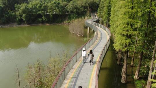 航拍杭州青山湖水上森林