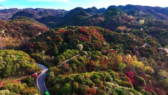 4K航拍贵州毕节杜鹃花风光无限