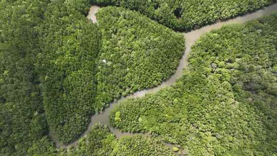 泰国甲米红树林自然风光航拍