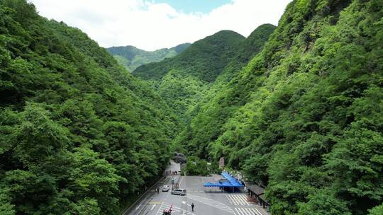 大自然绿色植物森林神农架官门山