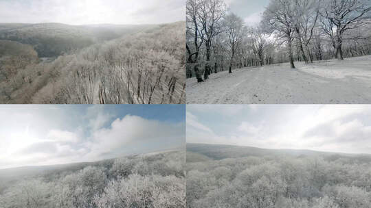 航拍雪原林场树林雾凇雪景