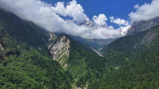 航拍四川贡嘎山区南门关沟森林河谷雪山风光