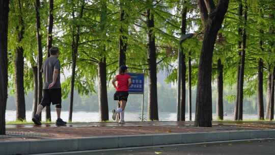 夏天清晨公园林荫道晨跑健身体育运动升格