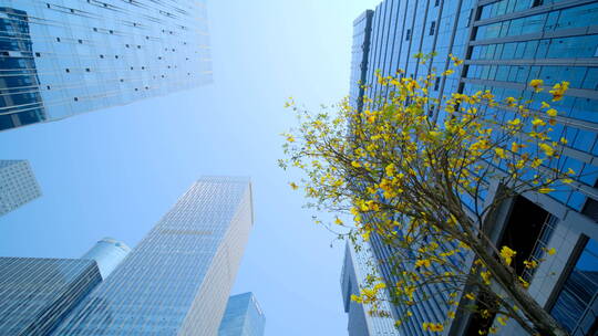 南宁五象新区街景 现代化高楼林立城市穿梭