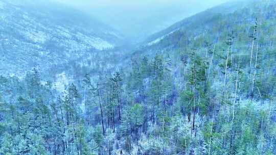 兴安岭春季极端天气降雪冻雾缭绕