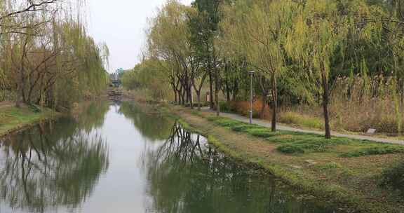 秋天苏州虎丘湿地公园生态景观