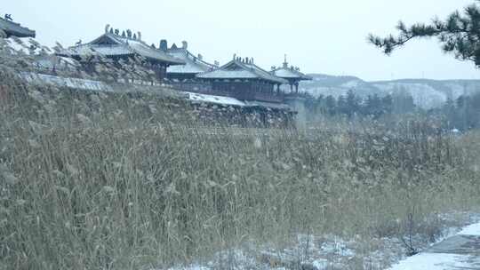 冬天下雪 雪花 冬天空镜