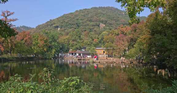 赏秋胜地苏州天平山唯美湖面枫树秋景延时