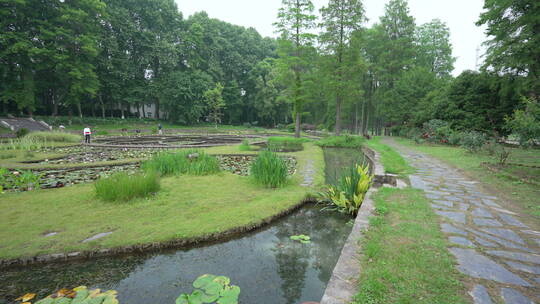 中国科学院武汉植物园睡莲展示区