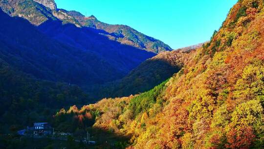 秦岭秋景