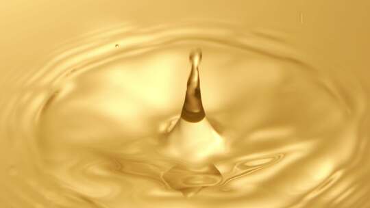 水滴进培养皿中 金色背景 4k慢镜头800fps