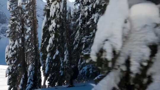 雪林之中滑雪者滑行场景