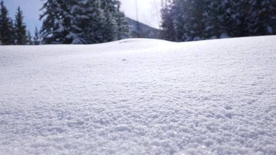 在白雪覆盖的地面上追踪