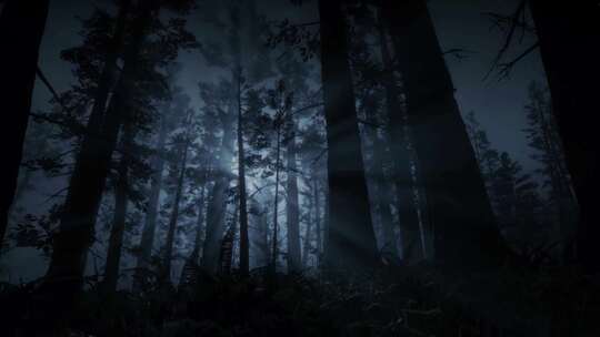 森林中的恐怖场景，神秘的树木，黑夜，月光