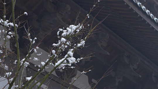 杭州径山寺中式古建筑寺庙雪景