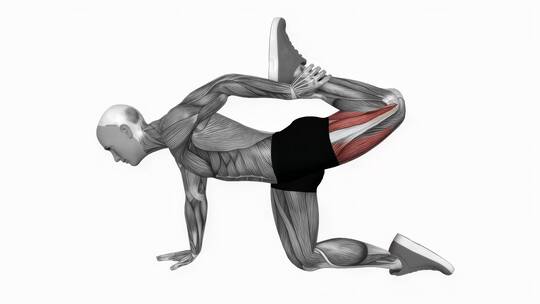 人体四肢伸展健身运动健身锻炼3D演示视频素材模板下载