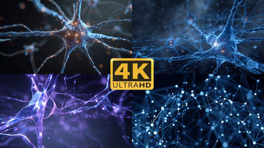 4K大脑神经元神经网络细胞2
