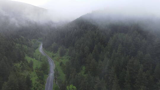 航拍热带雨林从中的公路