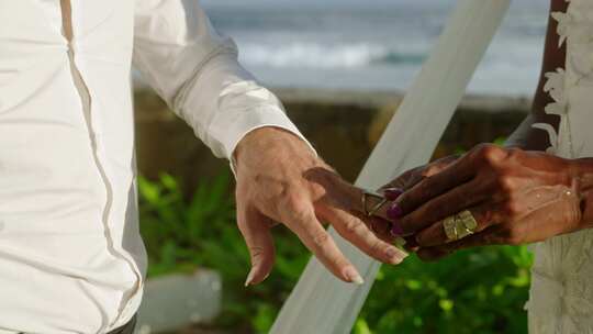 热带度假村，婚礼，手指，手