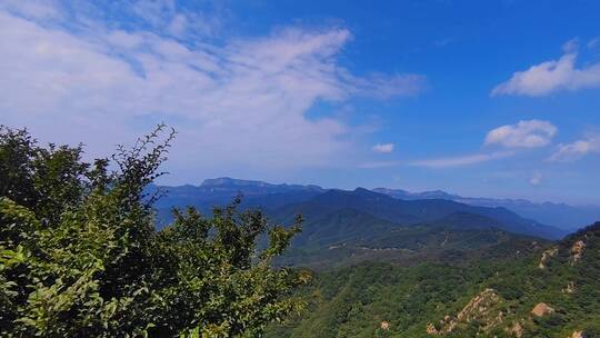 夏日虫鸣声四起的远山