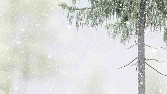 圣诞节冬季森林下雪