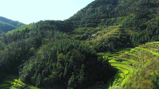 大山梯田