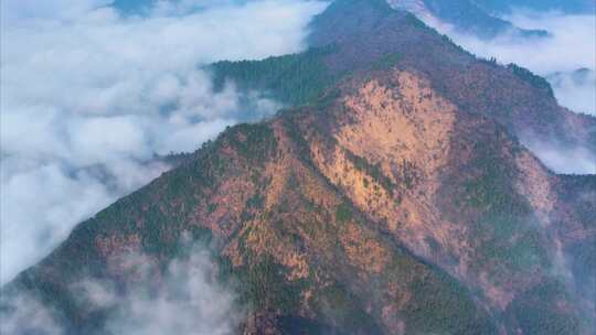 浙江衢州开化山区云海风景风光航拍延时