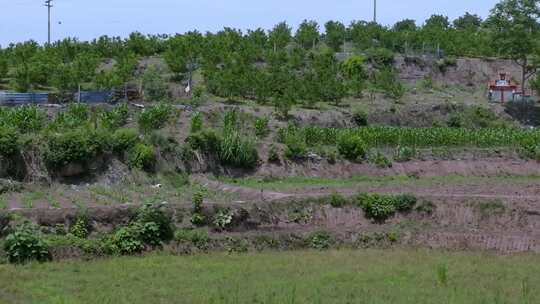 高清航拍乡村农田稻田农村山水风光自然风景