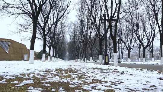 西安大明宫遗址公园大雪雪景视频素材模板下载